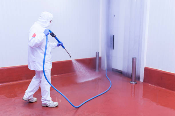 Best Spring Cleaning  in Wells, MN