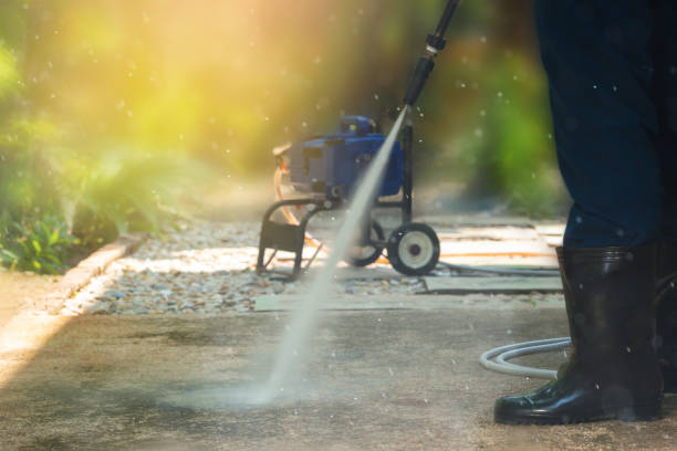 Best Roof Washing  in Wells, MN