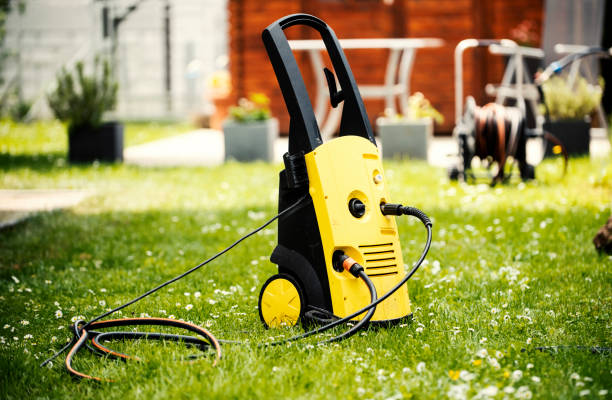 Best Pre-Holiday Cleaning  in Wells, MN